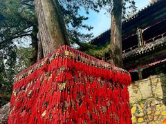 -潭柘寺景区