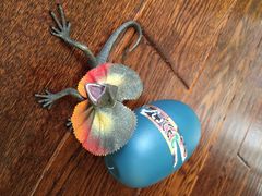 上海昆虫博物馆-上海昆虫博物馆