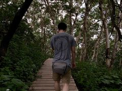 -白草畔自然风景区