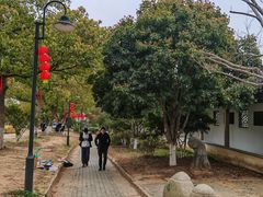 -雨花胜境