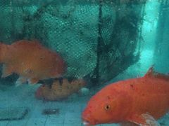 -紫腾大院·南京菜(江宁店)