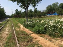 -永定河休闲森林公园