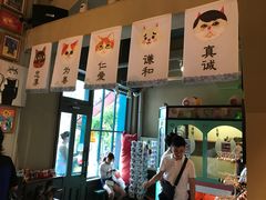 -猫咪博物馆(顶澳仔猫街店)