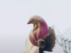 -盛世南宫影视城(北普陀影视城)