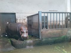 -无锡动物园·太湖欢乐园