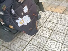 -洪氏嗨捞·猪肚鸡火锅(阳光天地店)
