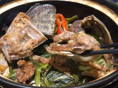 招牌油焖甲鱼-禧瑞都大饭店(吊桥路店)