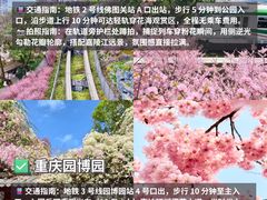 -南山植物园