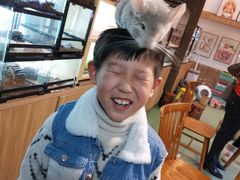 -藦茜花园宠物主题亲子互动体验馆(国顺东路店)