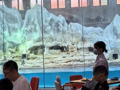 -帝企鹅自助餐厅•儿童岛•真企鹅(长隆企鹅酒店)