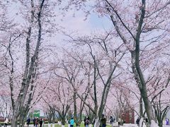 -龙美术馆(西岸馆)