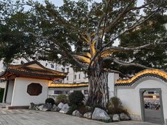 -墨池公园