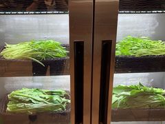 -客家汇·客家传承菜(水库店)