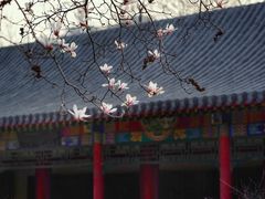 -碑林公园