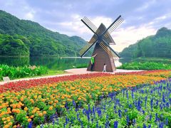 -广州市石门国家森林公园