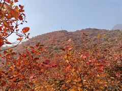 -周口店坡峰岭风景区