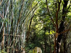 -高榜山景区