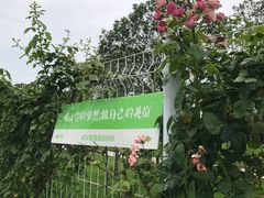 -武汉紫薇都市田园
