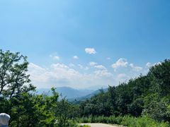 -北京西山国家森林公园