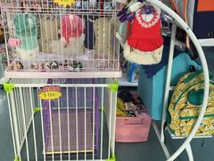 -瑞派宠物医院·24小时骨科·心脏·核磁(哈尔滨南岗店)