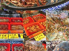 -顺德了能馆(虎门店)