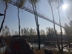 -微山湖红荷湿地景区