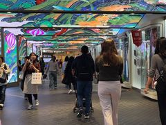-乐天免税店(明洞店)