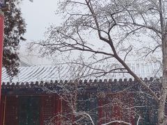 -潭柘寺景区