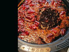 -爱你您·自家鱼塘·活水喷泉鱼火锅(八里店)