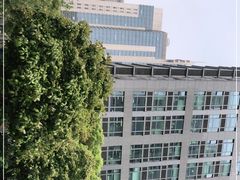 -Ms.Pilates 普拉提技术(尚悦湾陆家嘴店)