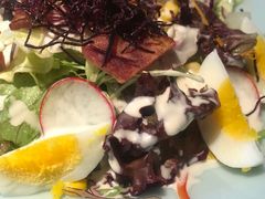 -森味薪火烧•烧鸟居酒屋•日本料理(望京店)