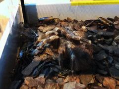 -昆明大悦城未来动物城(螺蛳湾中心店)