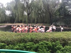 -石家庄市动物园