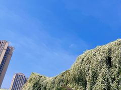 -府河摄影公园