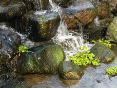 -白水寺森林公园
