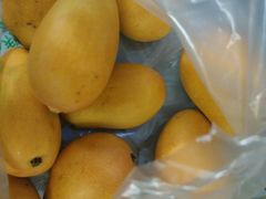 -乐乐鲜果水果超市(河北店)