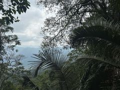 -七仙岭温泉国家森林公园
