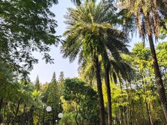 -荔香公园