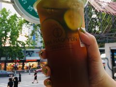 金桔柠檬-茶好韻·台湾手作奶茶