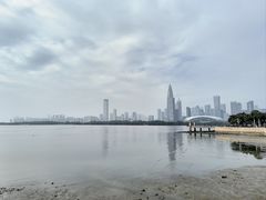 -福田红树林生态公园