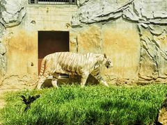 景点-黔灵山公园