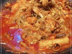 -红辣椒八爪鱼特色韩国料理