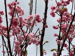 -观澜湖生态运动公社
