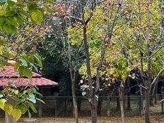 -石家庄市动物园