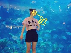 -成都浩海立方海洋公园