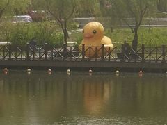 -自然谷恐龙园
