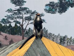 -西霞口神雕山野生动物世界