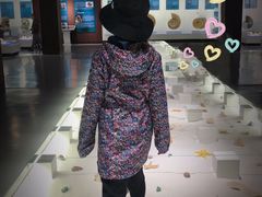 -贝壳王国博物馆