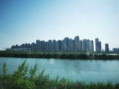 -合肥滨湖国家森林公园