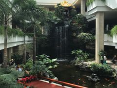 -白天鹅宾馆-健身中心